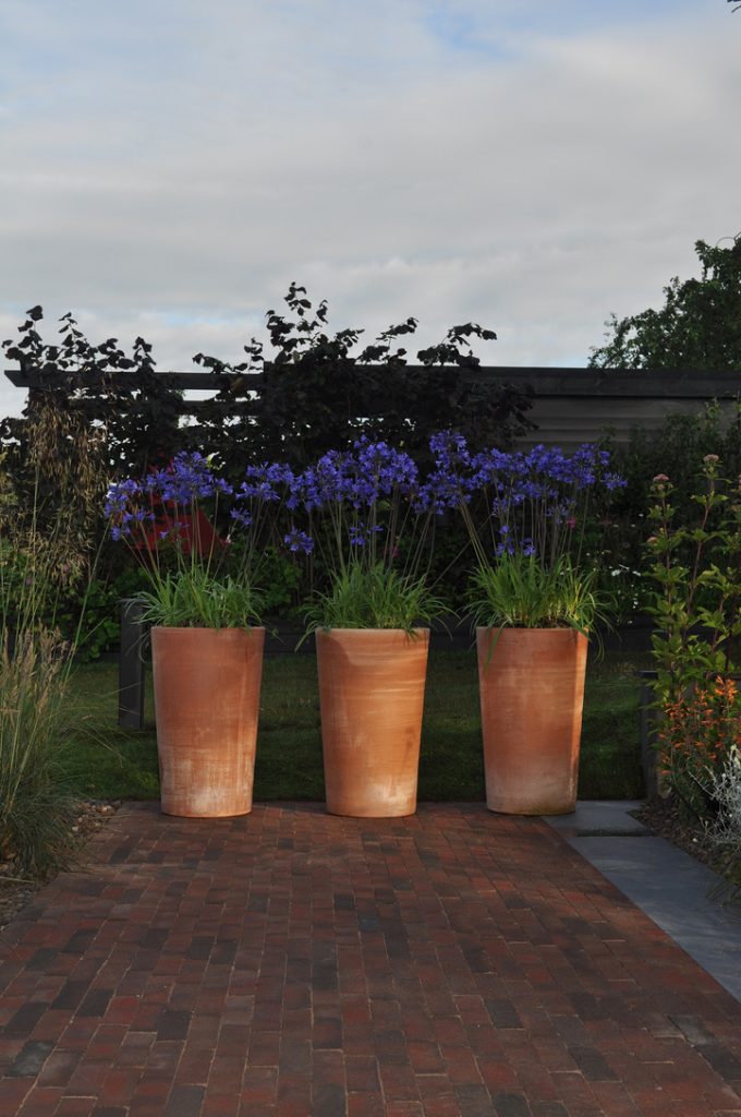 Trio of Clay Fired Posts with agapanthus in in this MJM Stduio Garden design in Cheshire